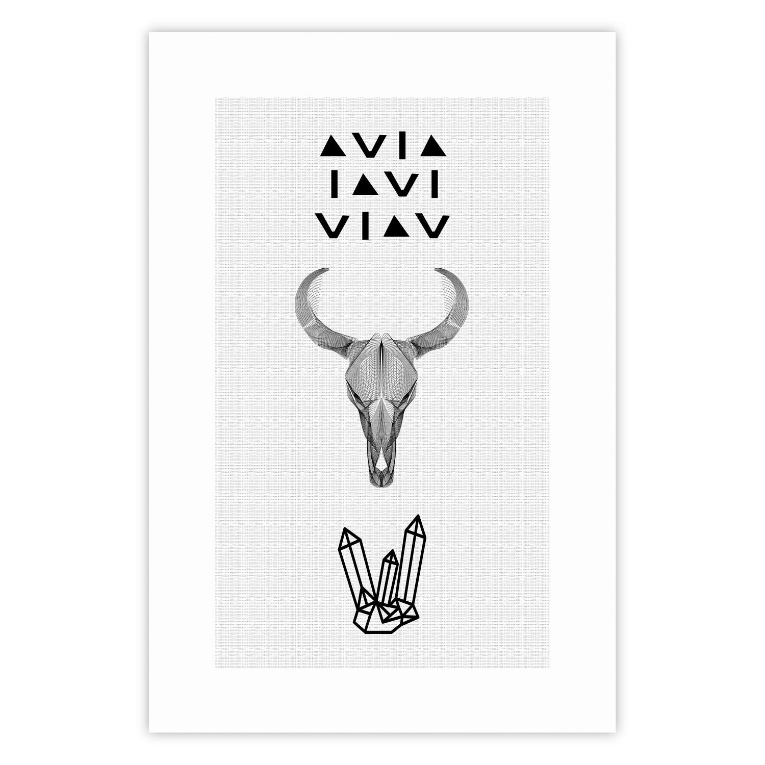 Cartel Animal Skull [Poster]
