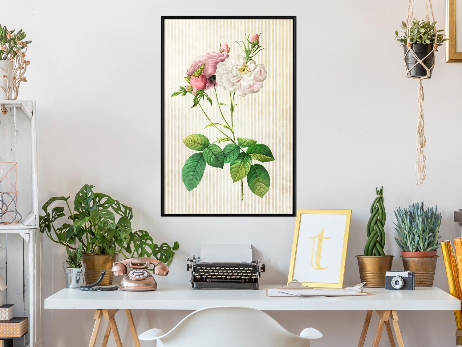 Set de poster Chic floral: composición colorida con flores y rayas beige