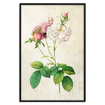 Set de poster Chic floral: composición colorida con flores y rayas beige