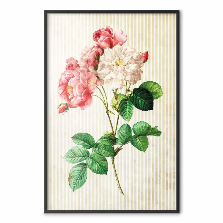 Rosa celeste: coloridas flores sobre rayas beige