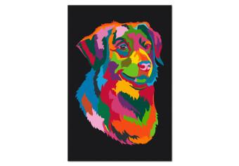  Dibujo para pintar con números Colourful Dog