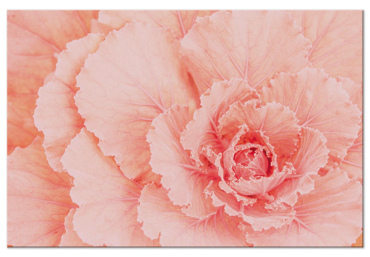 Cuadro moderno Flor delicada - una planta sutil de color rosa natural.