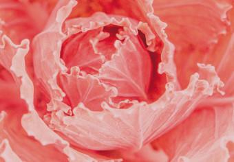 Cuadro moderno Flor delicada - una planta sutil de color rosa natural.