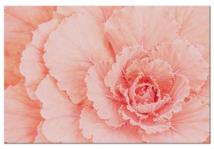 Flor delicada - una planta sutil de color rosa natural.