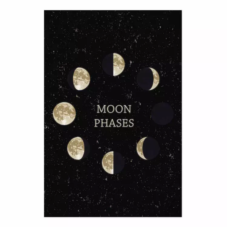 Lunar Cycle [Poster]