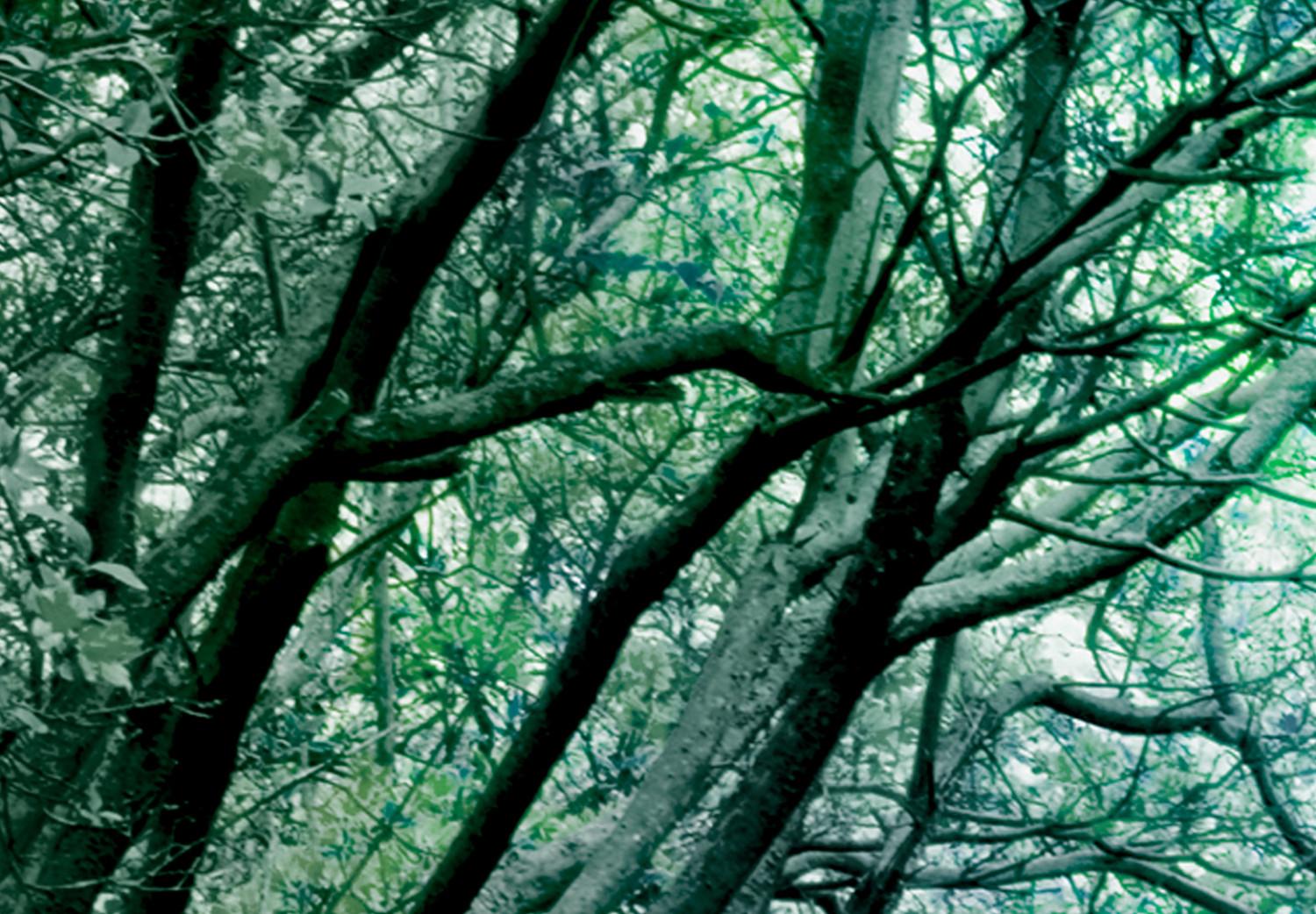 Póster Pérgola verde - paisaje con paso entre hojas y ramas de árboles