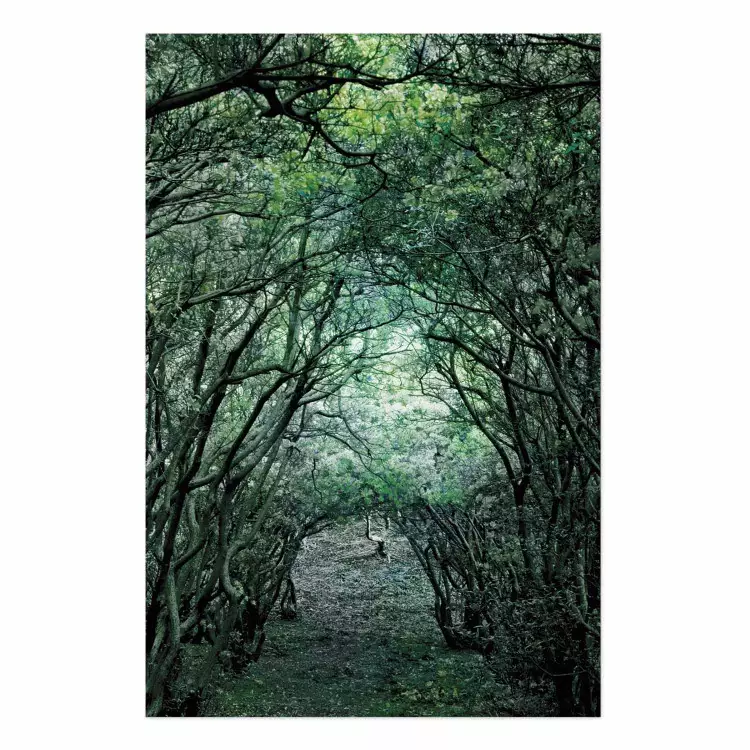 Póster Pérgola verde - paisaje con paso entre hojas y ramas de árboles