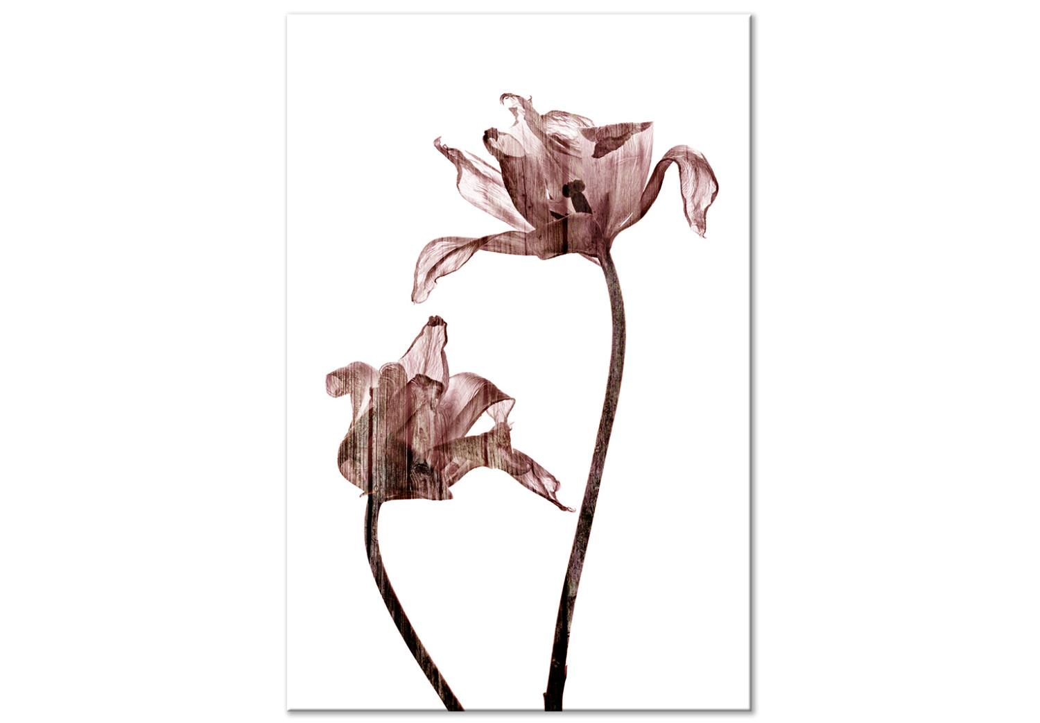 Cuadro decorativo Dibujo de tulipanes - flores en tenue tono marrón sobre fondo blanco
