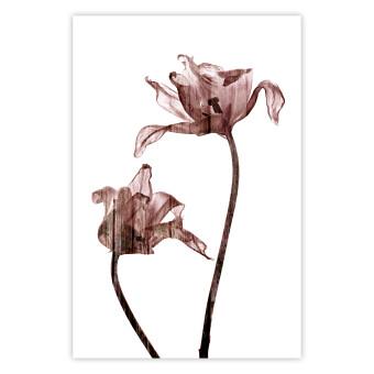 Cartel Proximidad sobreexpuesta: botánica flores rosa