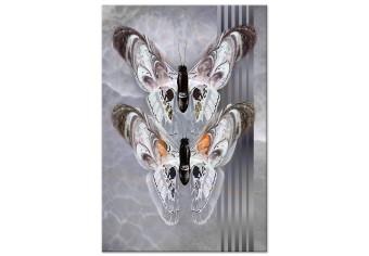 Cuadro decorativo Mariposas enamoradas - insectos grises y elegantes sobre mármol