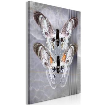 Cuadro decorativo Mariposas enamoradas - insectos grises y elegantes sobre mármol