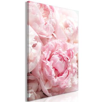 Cuadro decorativo Florecer en tonos naturales (1 parte) - peonía rosa en matices rosados