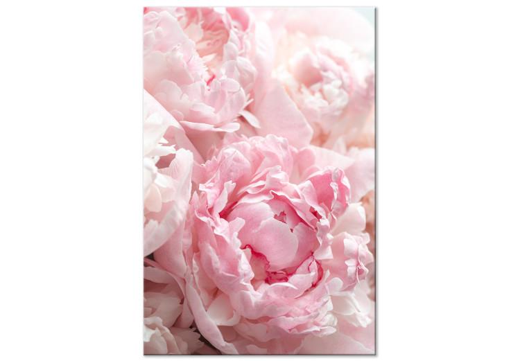 Florecer en tonos naturales (1 parte) - peonía rosa en matices rosados