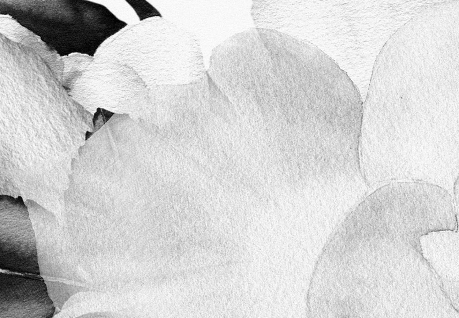 Cuadro decorativo Rose Composition (5 Parts) Wide Black and White