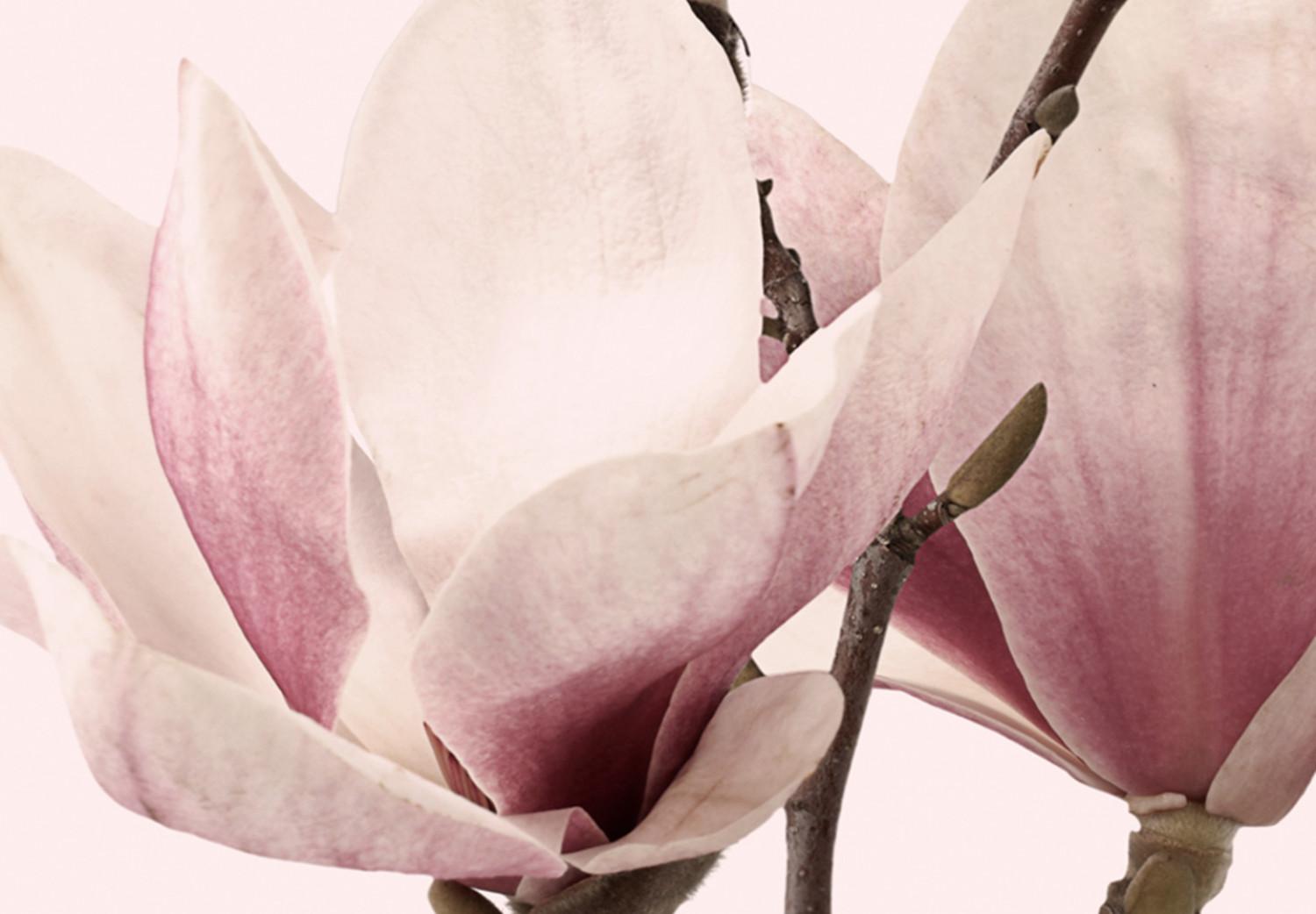 Cuadro Spring Magnolias (3 Parts)