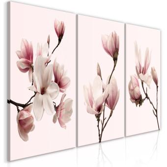 Cuadro Spring Magnolias (3 Parts)