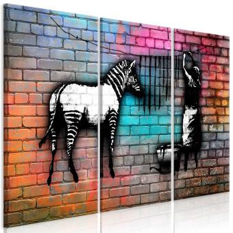 Cuadro Lavando cebra - arte callejero sobre ladrillo de color abstracto