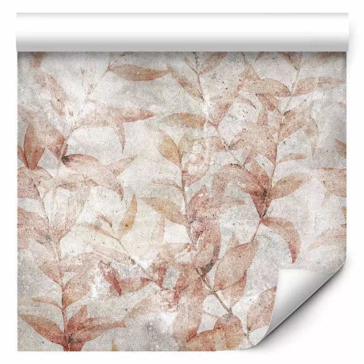 Plantas romanas