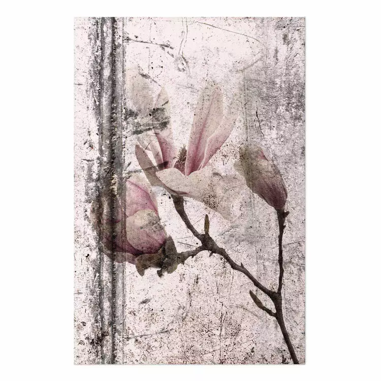Póster Magnolia exquisita - composición vegetal con flores en estilo vintage