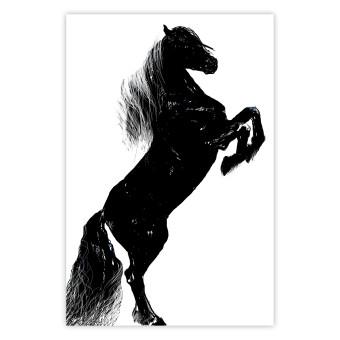 Cartel Caballo negro - silueta de un animal en blanco y negro