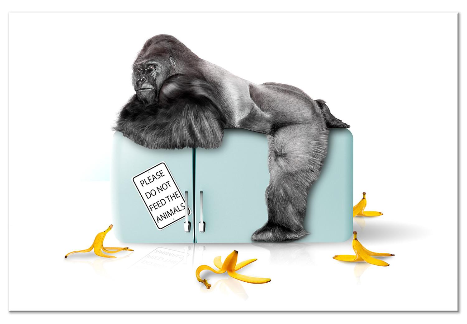Cuadro Refrigerador confiscado - foto divertida con gorila e inscripciones