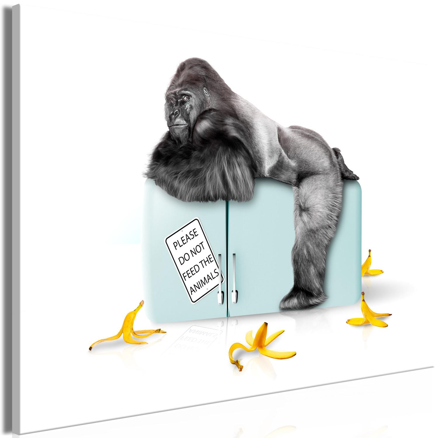 Cuadro Refrigerador confiscado - foto divertida con gorila e inscripciones