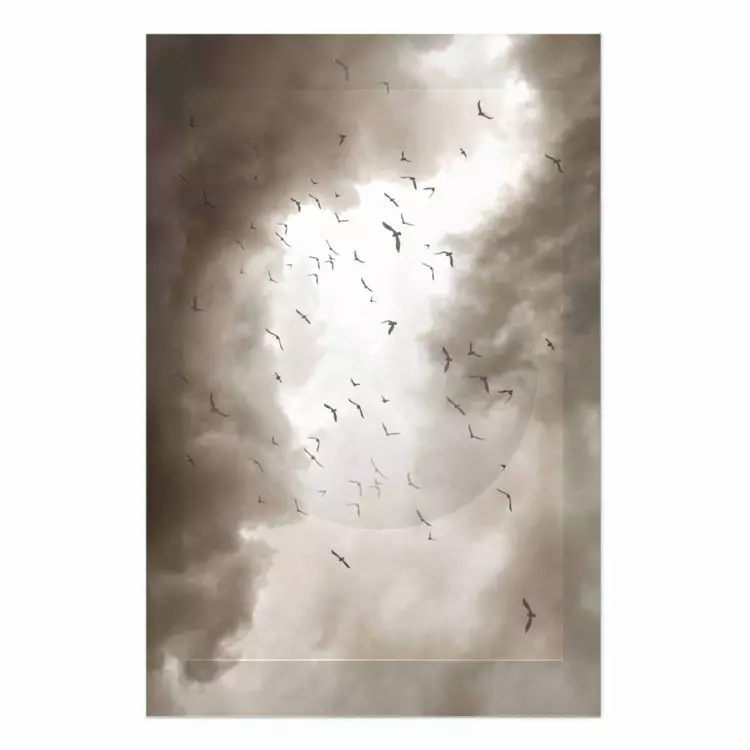 Pájaros entre las nubes - paisaje pájaros nublado