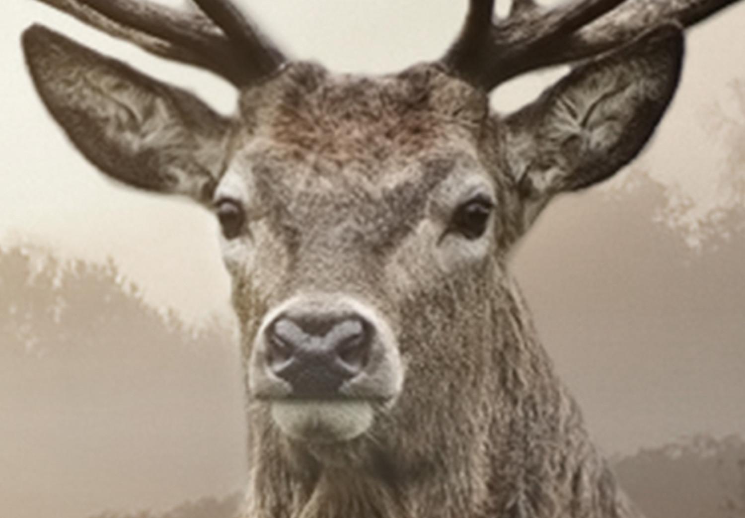Set de poster Deer in Sepia [Poster]
