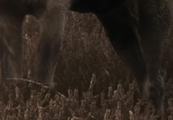 Set de poster Ciervo en sepia - paisaje otoñal animal hierba