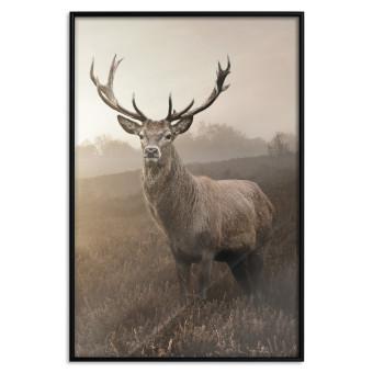Set de poster Deer in Sepia [Poster]