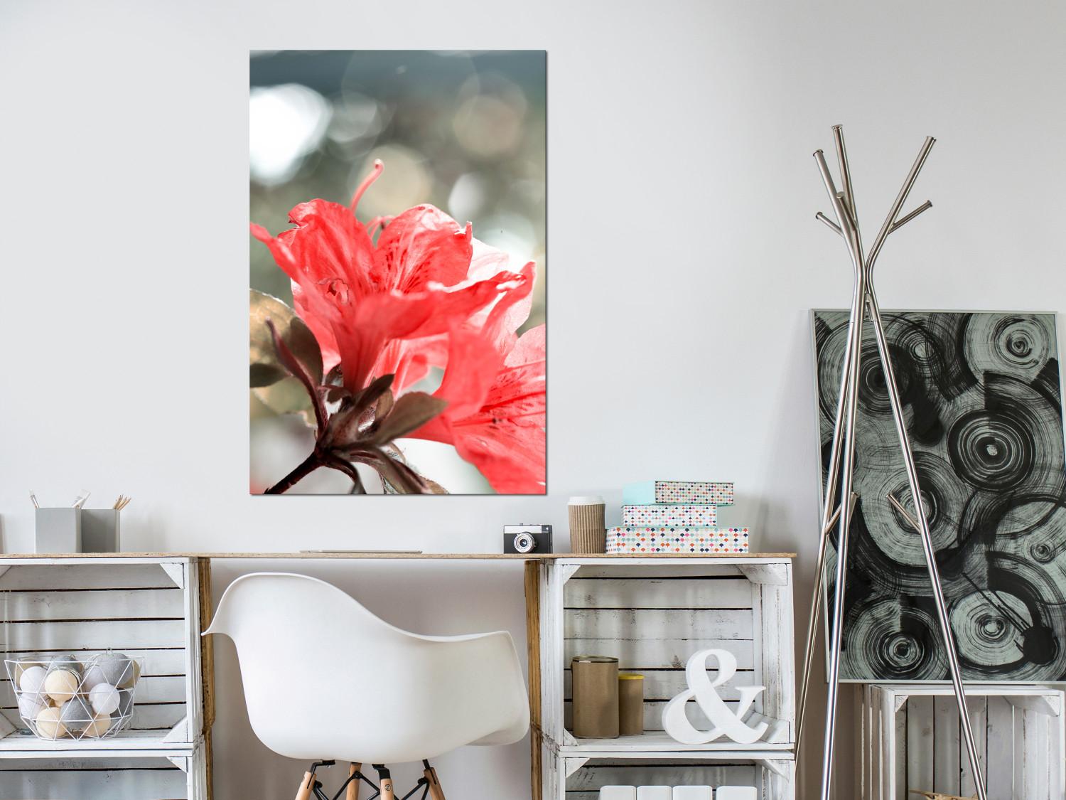 Cuadro decorativo Hibiscus red - una foto minimalista de una ramita y flores