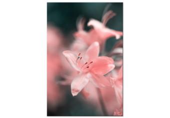 Cuadro La dulzura de la naturaleza - foto sutil y romántica de flores rosas