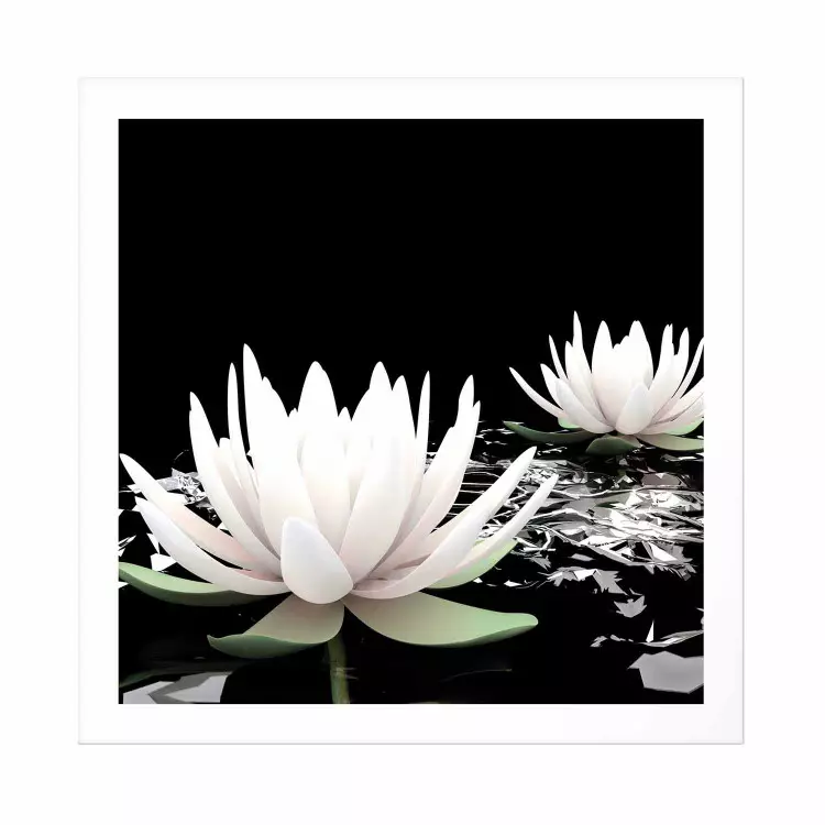 Flores de loto - composición pétalos blancos zen