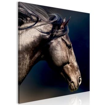 Cuadro decorativo Melena desplegada - Foto artística con detalle de caballo