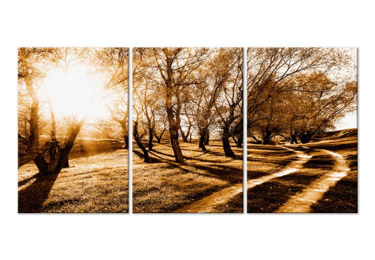 Cuadro en lienzo Sol otoñal - paisaje con callejón, árboles y naturaleza en luz dorada