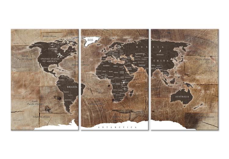 Cuadro en lienzo World Map: Wooden Mosaic (3 Parts)