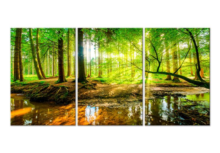 Cuadro en lienzo Forest Stream (3 Parts)