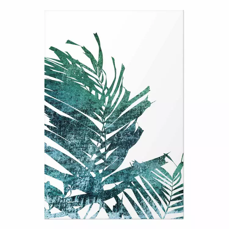 Palmera esmeralda - hojas verdes de palmera sobre fondo blanco