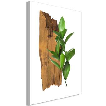 Cuadro Zodíaco vegetal - Sagitario - composición botánica minimalista