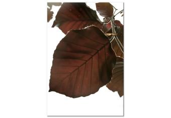 Cuadro moderno Elegancia otoñal (1 parte) - hojas de árbol en tonos marrones