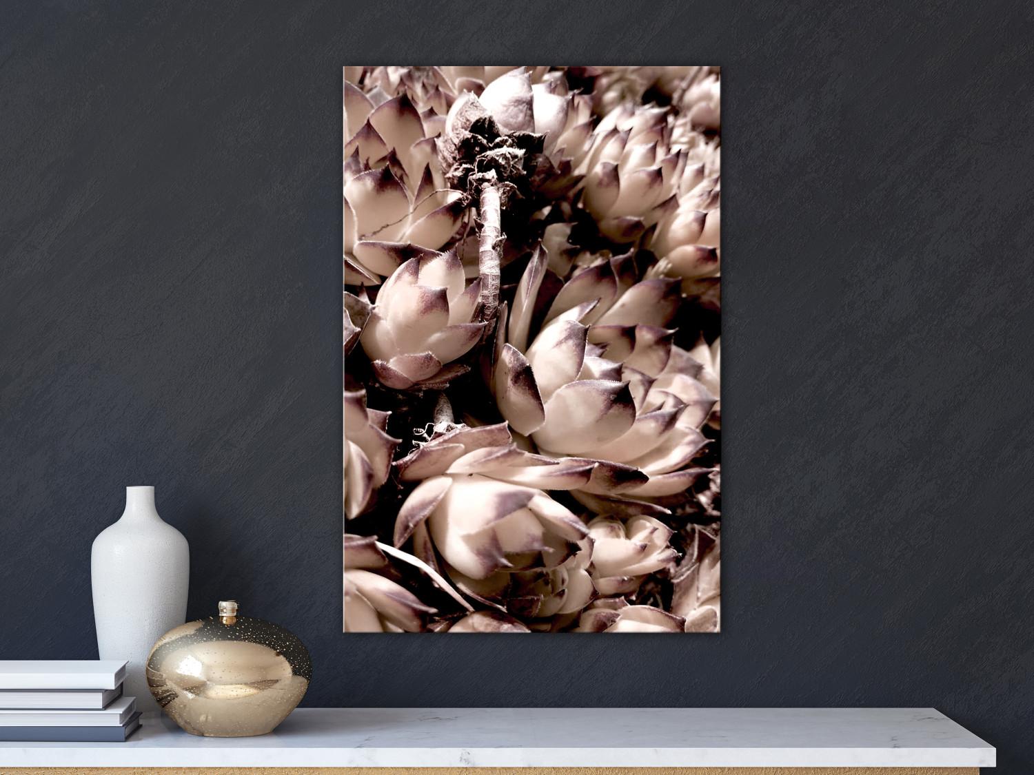 Cuadro decorativo Suculentas románticas - una foto artística de una planta en pasteles