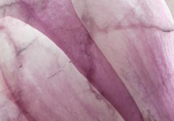 Cuadro moderno Sutileza del mármol - motivo floral de magnolia sobre fondo de mármol