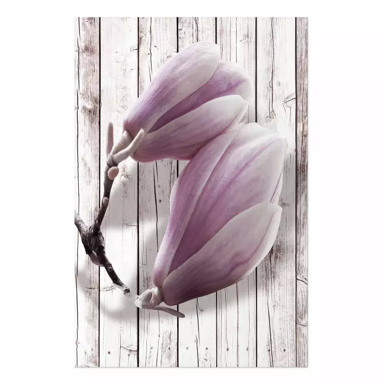 Poster Magnolia provenzal - flores rosas fondo madera