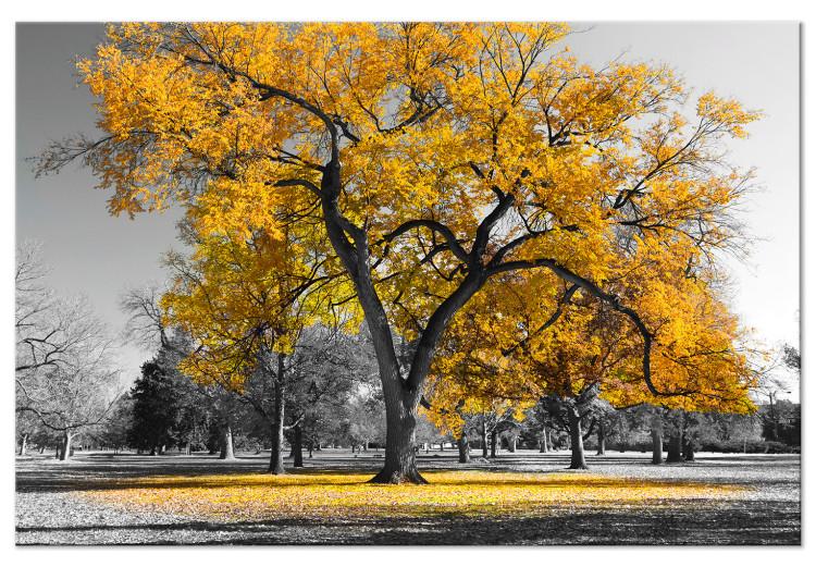 Cuadro en lienzo Autumn in the Park (1 Part) Wide Gold