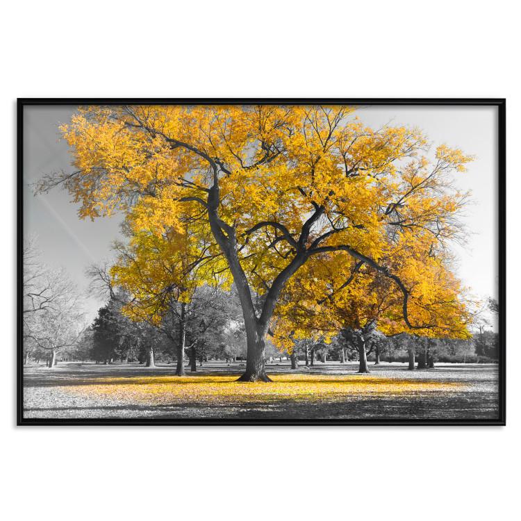 Póster Autumn in the Park (Gold) [Poster]