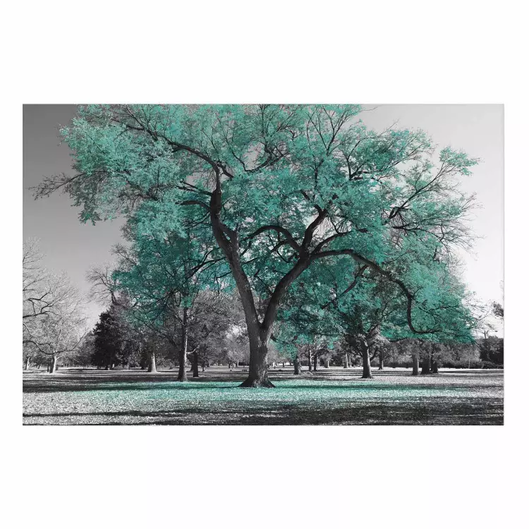Cartel Otoño en el parque (turquesa) - árbol otoñal gris y hojas turquesas