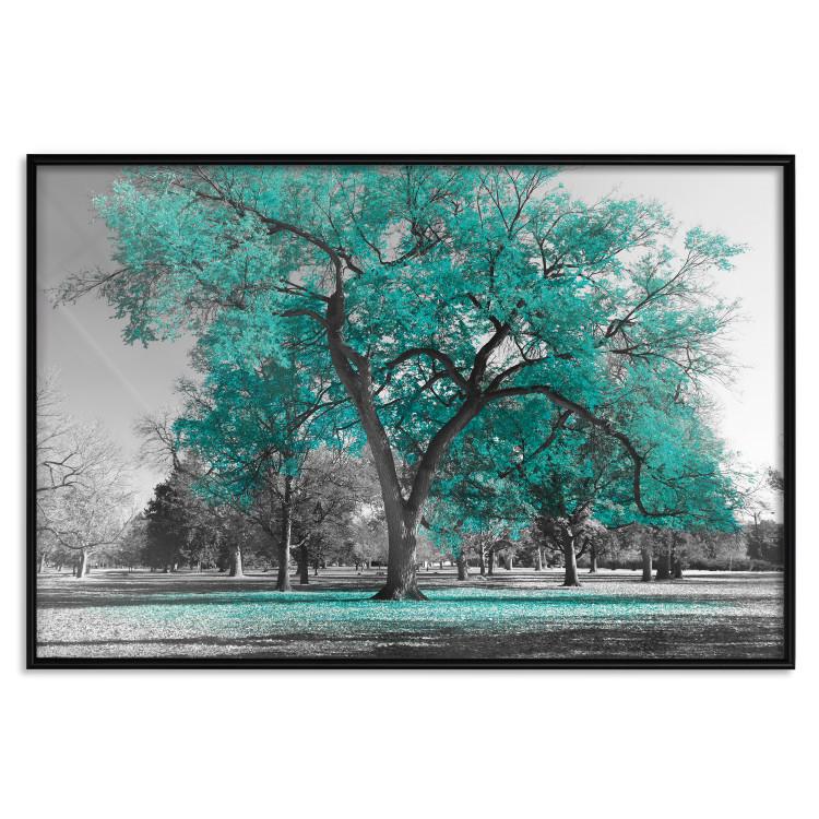 Póster Autumn in the Park (Turquoise) [Poster]