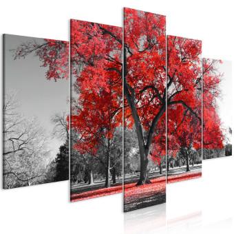Cuadro moderno Autumn in the Park (5 Parts) Wide Red
