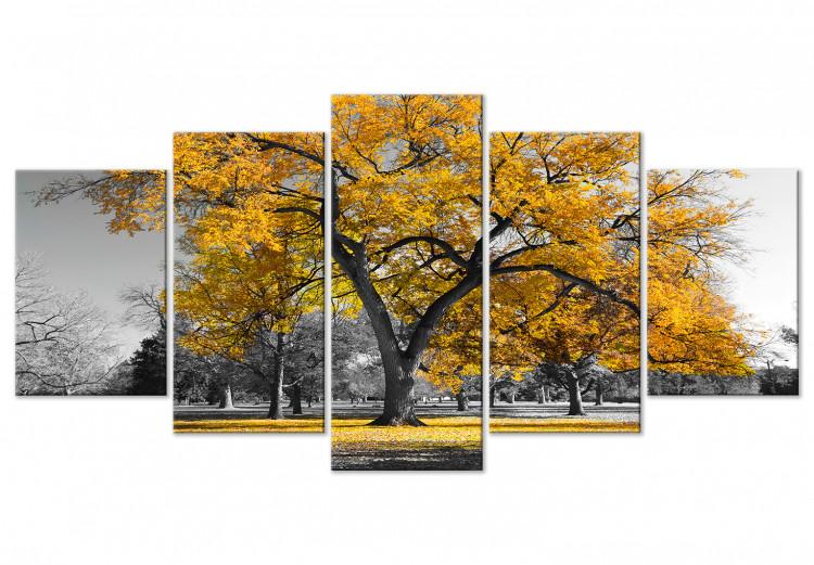 Cuadro en lienzo Autumn in the Park (5 Parts) Wide Gold