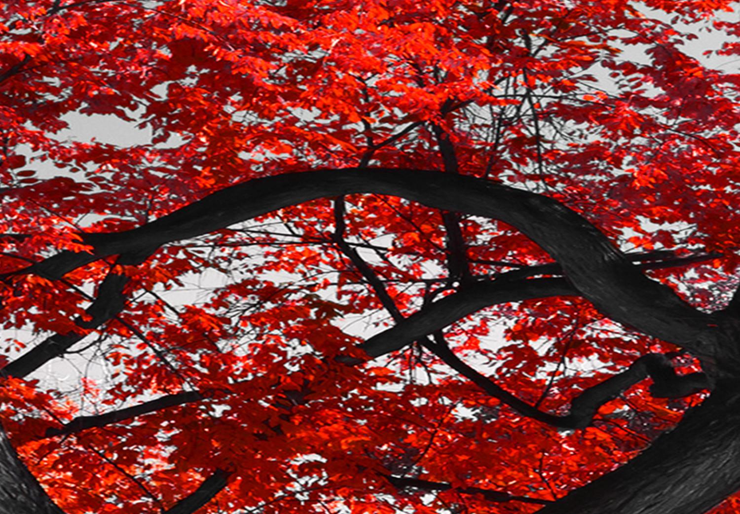 Cuadro moderno Autumn in the Park (5 Parts) Narrow Red